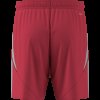Pánské šortky adidas TIRO24 SHO - foto 13