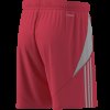 Pánské šortky adidas TIRO24 SHO - foto 12