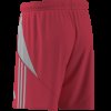 Pánské šortky adidas TIRO24 SHO - foto 14