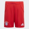 Dětské šortky adidas FCB H SHO Y - foto 0