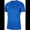 Pánské tričko Nike M NK DF PARK VII JSY SS - foto 0