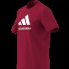 Pánské tričko adidas AJAX SZN GR TE2 - foto 13