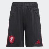 Dětské šortky adidas LFC A SHO Y