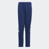 Dětské tepláky adidas SQ25 TR PNT Y