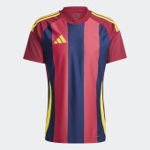 Pánský dres adidas STRIPED 24 JSY