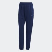 Dámské tepláky adidas TIRO25 PNTW