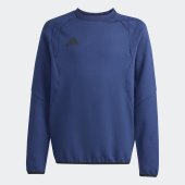 Dětská mikina adidas TT CREW Y