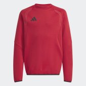 Dětská mikina adidas TT CREW Y