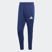 Pánské tepláky adidas ENT26 TR PNT