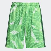Dětské šortky adidas T26 C GK SHO Y