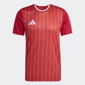 Pánský dres adidas ENT26 GFX JSY