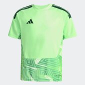 Dětský dres adidas T26 C GK JSY Y