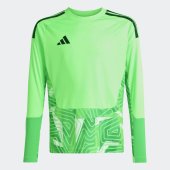 Dětský dres adidas T26 C GK JSY LY