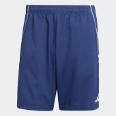 Pánské šortky adidas TIRO25C DT SHO
