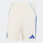 Pánské šortky adidas RCSA A SHO