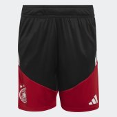 Dětské šortky adidas DFB TR SHO
