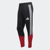 Pánské tepláky adidas DFB TR PNT