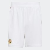 Pánské šortky adidas HFF H SHO AU