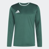 Pánský dres adidas ENT26 JSY LS