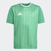Dětský dres adidas ENT26 GFX JSY Y