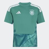 Dětský dres adidas DFB H GK JSY Y