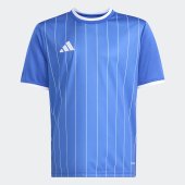 Dětský dres adidas ENT26 GFX JSY Y