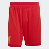 Pánské šortky adidas RFEF H SHO AU