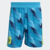 Pánské šortky adidas RFEF H GK SHOAU