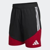 Pánské šortky adidas DFB DT SHO