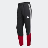 Pánské tepláky adidas DFB PRE PNT