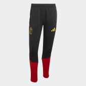 Pánské tepláky adidas RBFA TR PNT