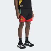 Pánské šortky adidas JFF DT SHO