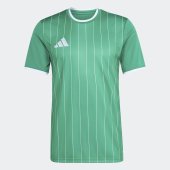 Pánský dres adidas ENT26 GFX JSY