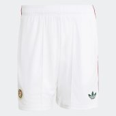 Pánské šortky adidas HFF A SHO