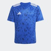Dětský dres adidas T ICON25 JSY Y