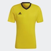 Pánské tričko adidas ENT22 JSY