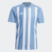 Pánský dres adidas STRIPED 21 JSY