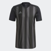 Pánský dres adidas STRIPED 21 JSY