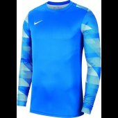 Chlapecký dres Nike Y NK DF PARK IV JSY LS GK