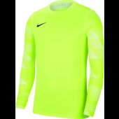 Chlapecký dres Nike Y NK DF PARK IV JSY LS GK