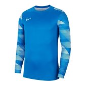 Pánský dres Nike M NK DF PARK IV JSY LS GK