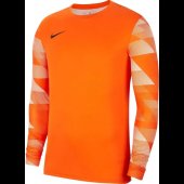 Pánský dres Nike M NK DF PARK IV JSY LS GK