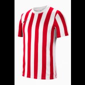 Pánský dres Nike STRIPED DIVISION IV