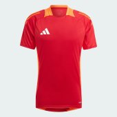 Pánské tričko adidas TIRO24 C TR JSY