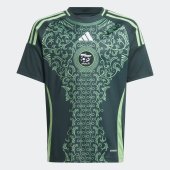 Dětský dres adidas FAF A JSY Y