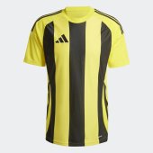 Pánský dres adidas STRIPED 24 JSY