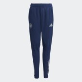 Dětské tepláky adidas AFC TR PNTY