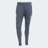 Pánské tepláky adidas FCB TR PNT