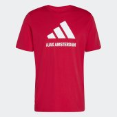 Pánské tričko adidas AJAX SZN GR TE2