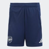 Dětské šortky adidas AFC TR SHO Y